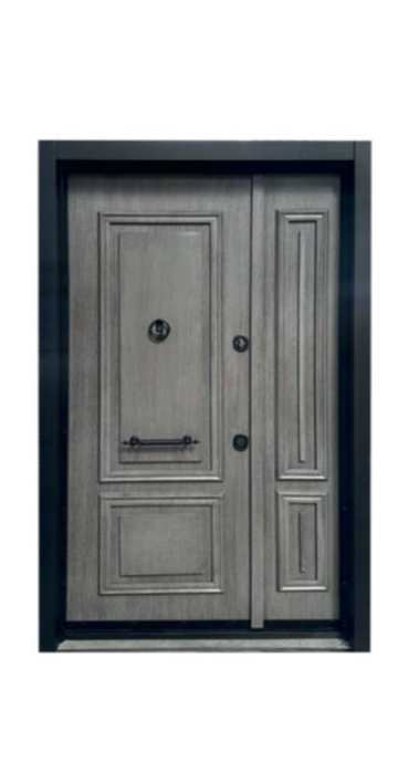 Luxury Villa Steel Doors