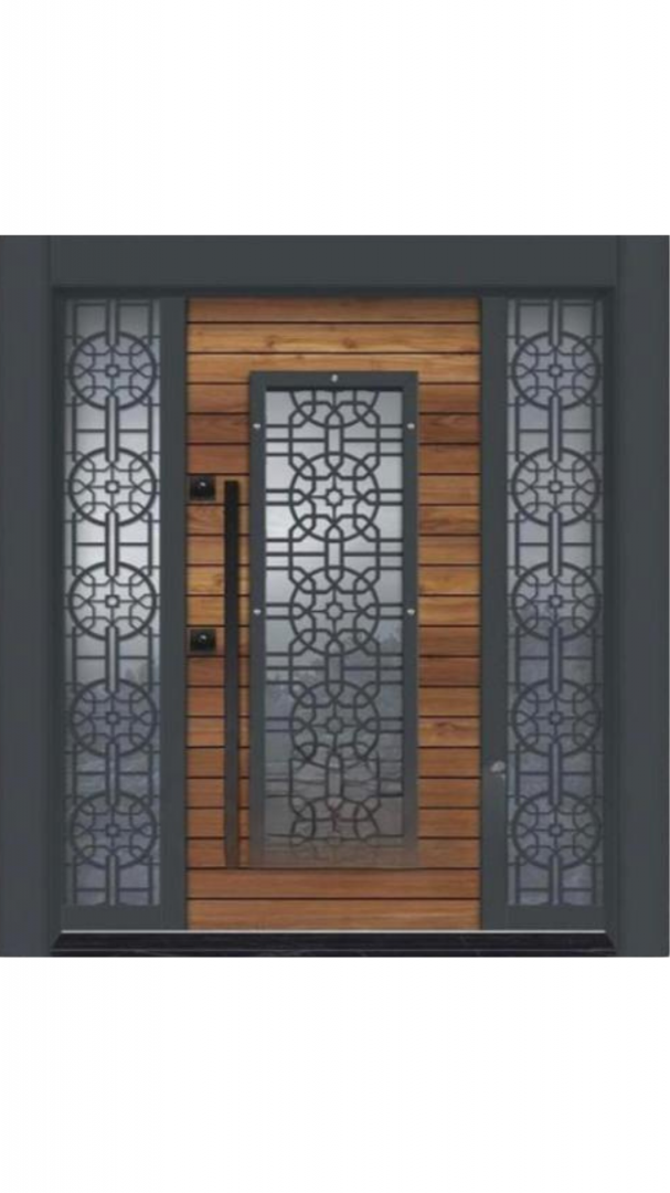 Luxury Villa Steel Doors
