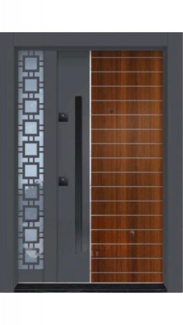 Luxury Villa Steel Doors
