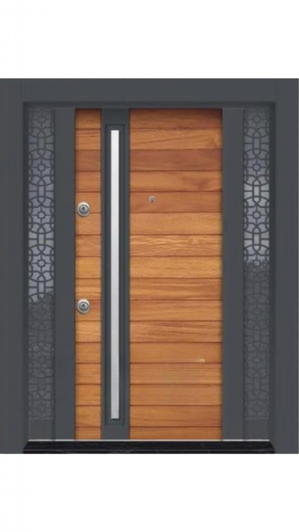 Luxury Villa Steel Doors
