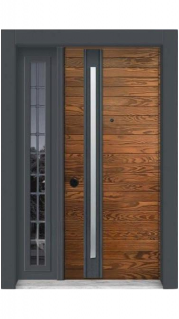 Luxury Villa Steel Doors