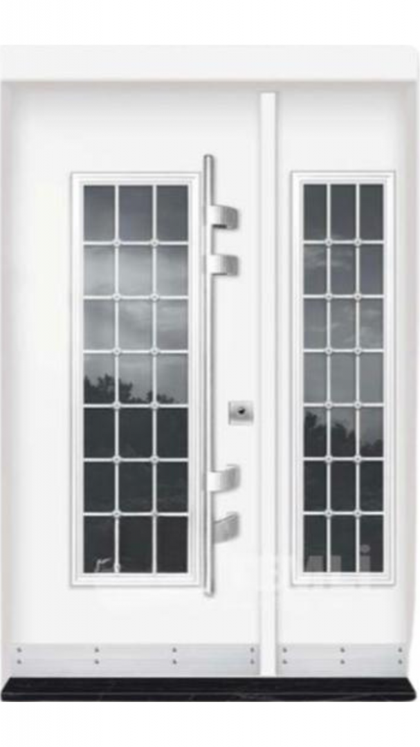 Luxury Villa Steel Doors
