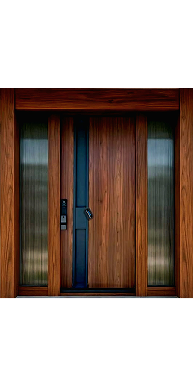 Luxury Villa Steel Doors