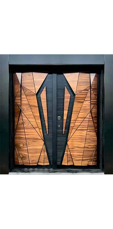 Luxury Villa Steel Doors
